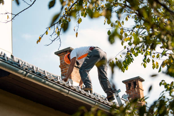 Best Roof Inspection Near Me  in Houghton, MI
