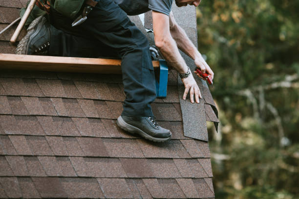 Best Metal Roofing Contractor  in Houghton, MI