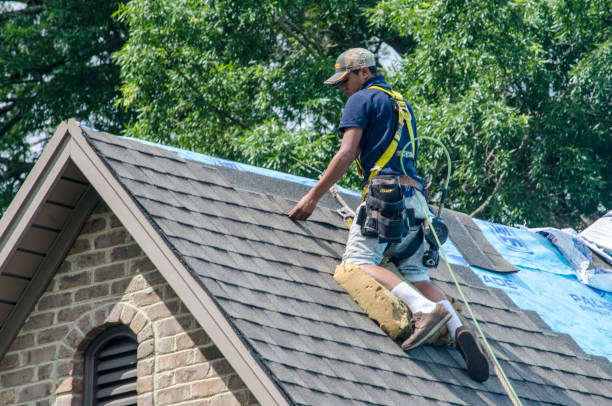 Best Roof Restoration Services  in Houghton, MI